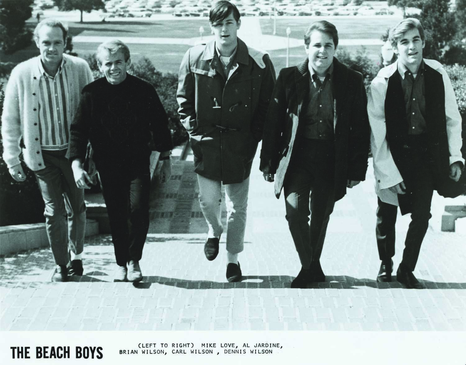 Beach boys bakke